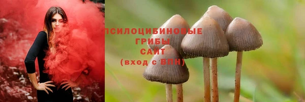 кокаин премиум Снежногорск