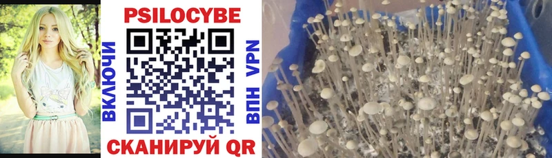 Псилоцибиновые грибы Psilocybe  хочу   МЕГА вход  Павловский Посад 