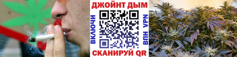 Бошки марихуана марихуана  купить закладку  Павловский Посад 